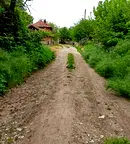 Парцел във Велико Търново, с. Хотница