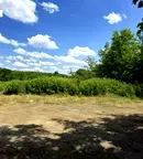 Парцел във Велико Търново, с. Хотница