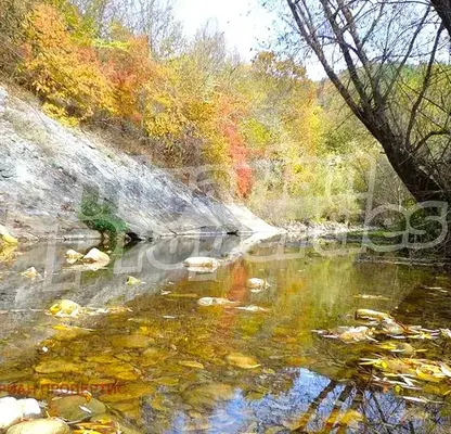 Photo 3 — Plot in Oblast Veliko Tyrnovo, Hynevci