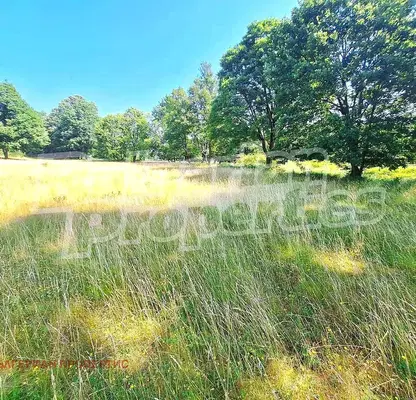 Photo 4 — Plot in Oblast Veliko Tyrnovo, Hynevci