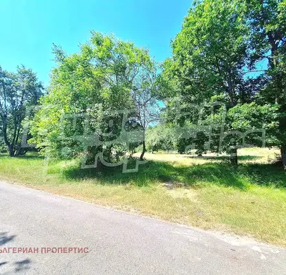 Photo 5 — Plot in Oblast Veliko Tyrnovo, Hynevci