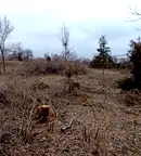 Парцел във Велико Търново, с. Козаревец