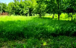 Парцел във Велико Търново, с. Козаревец