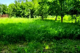 Парцел във Велико Търново, с. Козаревец