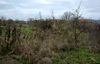 Парцел във Велико Търново, с. Крушето