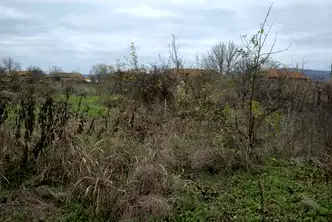 Парцел във Велико Търново, с. Крушето