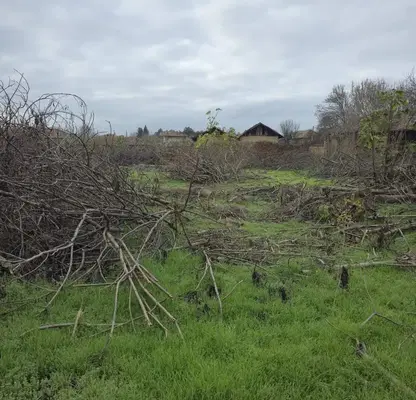 Photo 4 — Plot in Oblast Veliko Tyrnovo, Krusheto