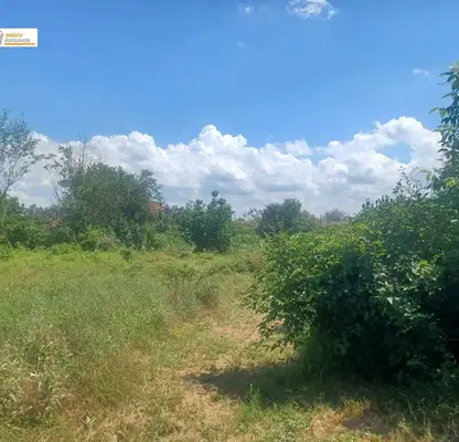 Photo 3 — Plot in Veliko Tyrnovo, Krusheto