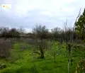 Снимка 4 — Парцел във Велико Търново, с. Крушето