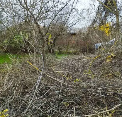 Photo 2 — Plot in Oblast Veliko Tyrnovo, Krusheto