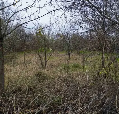 Photo 3 — Plot in Oblast Veliko Tyrnovo, Krusheto