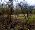 Снимка 4 — Парцел във Велико Търново, с. Крушето