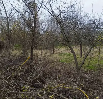 Photo 4 — Plot in Oblast Veliko Tyrnovo, Krusheto