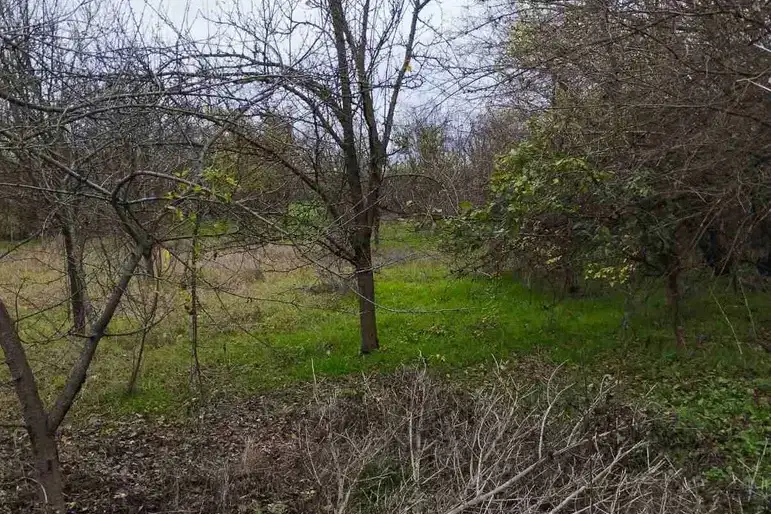 Plot in Oblast Veliko Tyrnovo, Krusheto