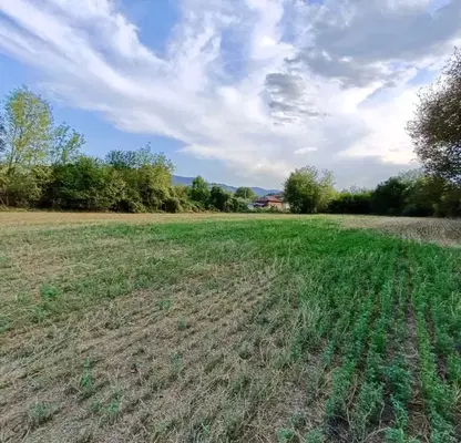 Photo 4 — Plot in Oblast Veliko Tyrnovo, Kypinovo