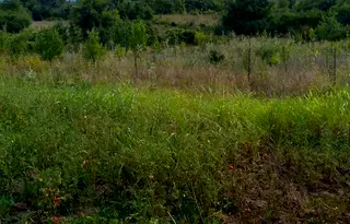 Парцел във Велико Търново, с. Къпиново