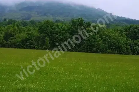 Парцел във Велико Търново, с. Лазарци