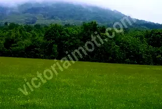 Парцел във Велико Търново, с. Лазарци