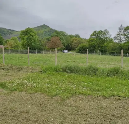 Photo 2 — Plot in Veliko Tyrnovo, s. Lazartsi
