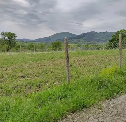 Photo 4 — Plot in Veliko Tyrnovo, s. Lazartsi