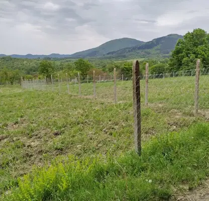 Photo 5 — Plot in Veliko Tyrnovo, s. Lazartsi