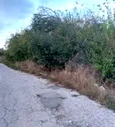 Парцел във Велико Търново, с. Леденик