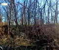 Снимка 4 — Парцел във Велико Търново, с. Леденик