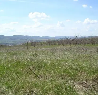 Снимка 2 — Парцел във Велико Търново, с. Леденик