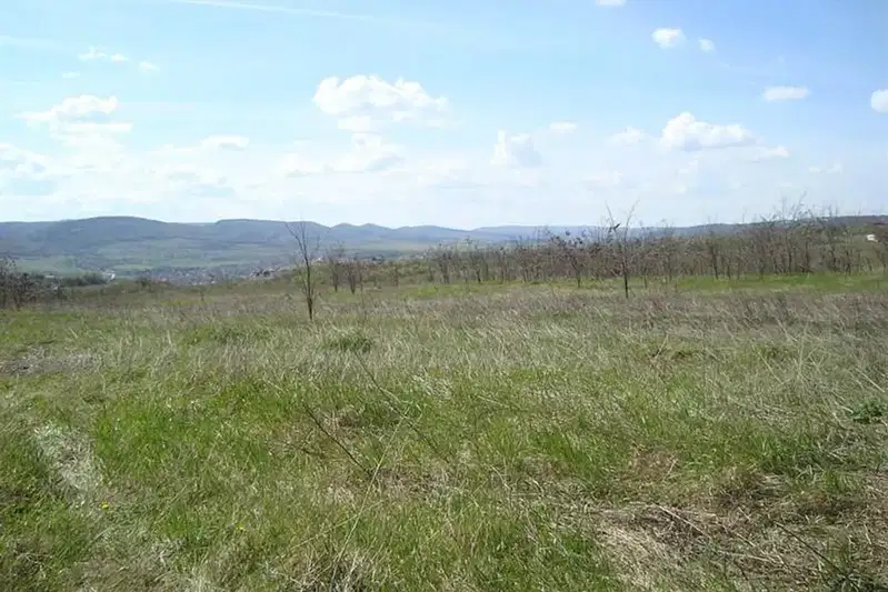 Парцел във Велико Търново, с. Леденик
