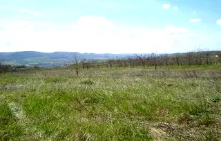 Парцел във Велико Търново, с. Леденик