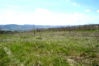 Парцел във Велико Търново, с. Леденик