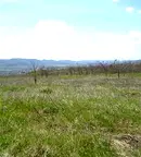 Парцел във Велико Търново, с. Леденик