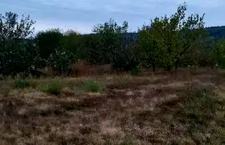 Парцел във Велико Търново, с. Леденик