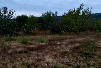 Парцел във Велико Търново, с. Леденик