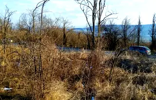Парцел във Велико Търново, с. Леденик