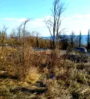 Парцел във Велико Търново, с. Леденик
