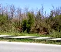 Снимка 3 — Парцел във Велико Търново, с. Леденик
