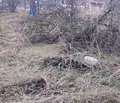 Снимка 2 — Парцел във Велико Търново, с. Леденик