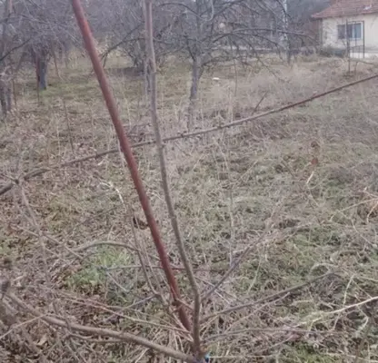 Снимка 3 — Парцел във Велико Търново, с. Леденик