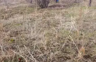 Парцел във Велико Търново, с. Леденик