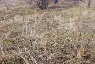 Парцел във Велико Търново, с. Леденик