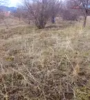 Парцел във Велико Търново, с. Леденик