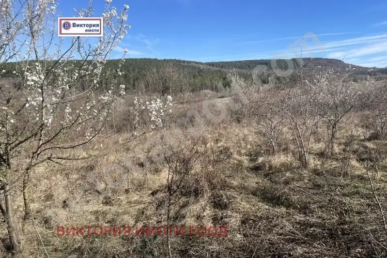 Парцел във Велико Търново, с. Малки чифлик