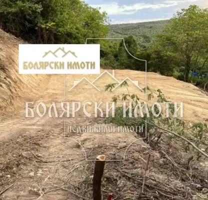 Photo 3 — Plot in Oblast Veliko Tyrnovo, Malki Chiflik