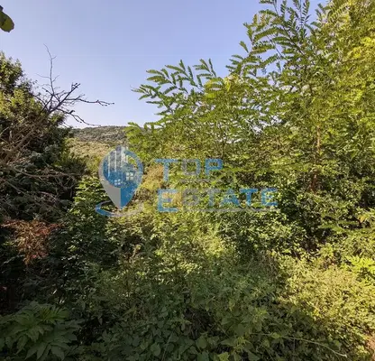 Photo 3 — Plot in Veliko Tyrnovo, Malki Chiflik