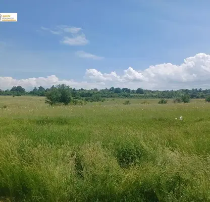 Photo 2 — Plot in Oblast Veliko Tyrnovo, Maryan