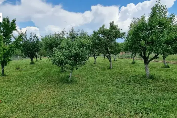 Парцел във Велико Търново, с. Мерданя