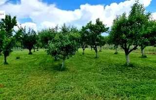 Парцел във Велико Търново, с. Мерданя