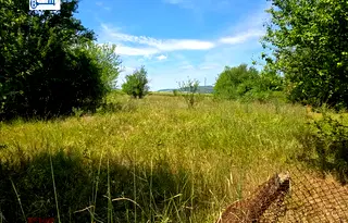 Парцел във Велико Търново, с. Мерданя