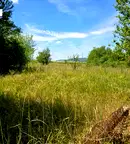 Парцел във Велико Търново, с. Мерданя